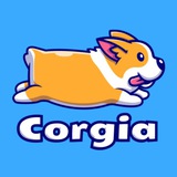 CorgiaState2