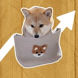 $DBAG | Doggy Bag Community