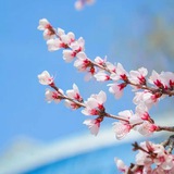 桃花外围🌸全国️上门🥇 空投