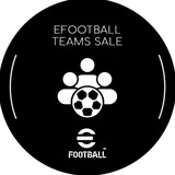 EF TEAMS SALE