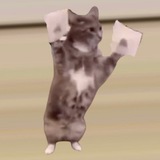 Tape Cat - $TCAT
