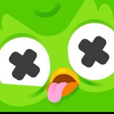 $DUOLINGO OWL