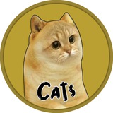 Cats $CATS