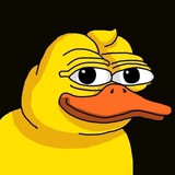 DUCKY