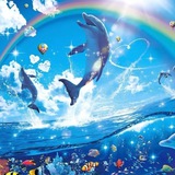 Rainbow Dolphin CTO $RAIN