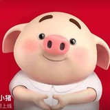小猪集团