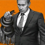 НАВИГАТОР Полномочия Путину