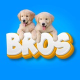Bros Portal