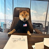 $USÐ | United States Doge | SOL