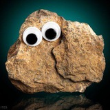 Pet Space Rock $ROCK (Portal)
