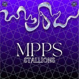 PS STALLIONS