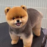 Ted Portal