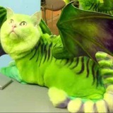 Glibert The Dragon Cto