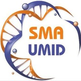 SMA UMID FONDI