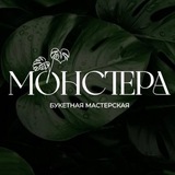 Монстера