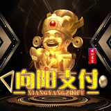 向阳支付