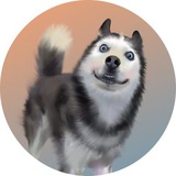 Whatsmeme Community_CN 華語