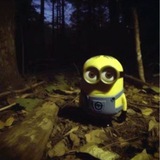 Minion Portal