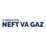 Neft va Gaz