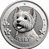 Lily's Coin