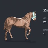 ZigZag - Portal