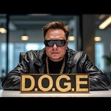 Mr Musk | Head Of D.O.G.E
