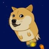 Asteroid Doge Portal
