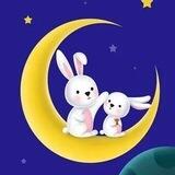 月兔 Moon Rabbit🌙🐇