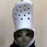 $CROC