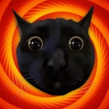 Portal $SCAT