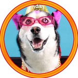 Swaggy Wolfdog $SWAGGY Portal