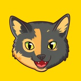 Oldest Living Cat $FLOSSIE