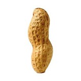 Peanut 🥜 for Pnut