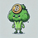 Blockiichain ($BCHAIN)