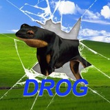 DROG Portal