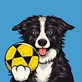 Floki The Volleyball Dog | $FLOKI