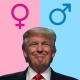 Only two genders - $OTG