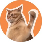Catslap BSC Token