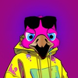 $KIKI FLAMINKI