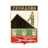 Селидово 🇷🇺
