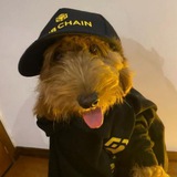 CHEN BINANCE DOG