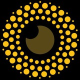 Kardan insight | نگاه کاردان