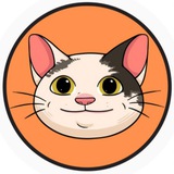 Polite Cat