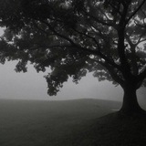 Desolation.