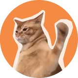 Catslap Verify
