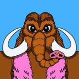 $WOOLLY 🦣