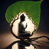 တရားအသိမျှဝေရန်