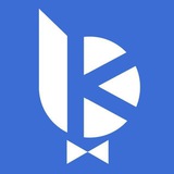 Bitkogan App