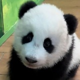 MEI ZHU CTO | Portal