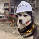 怪兽集团v推结账群